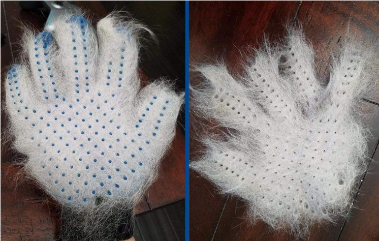 Pet Grooming Glove